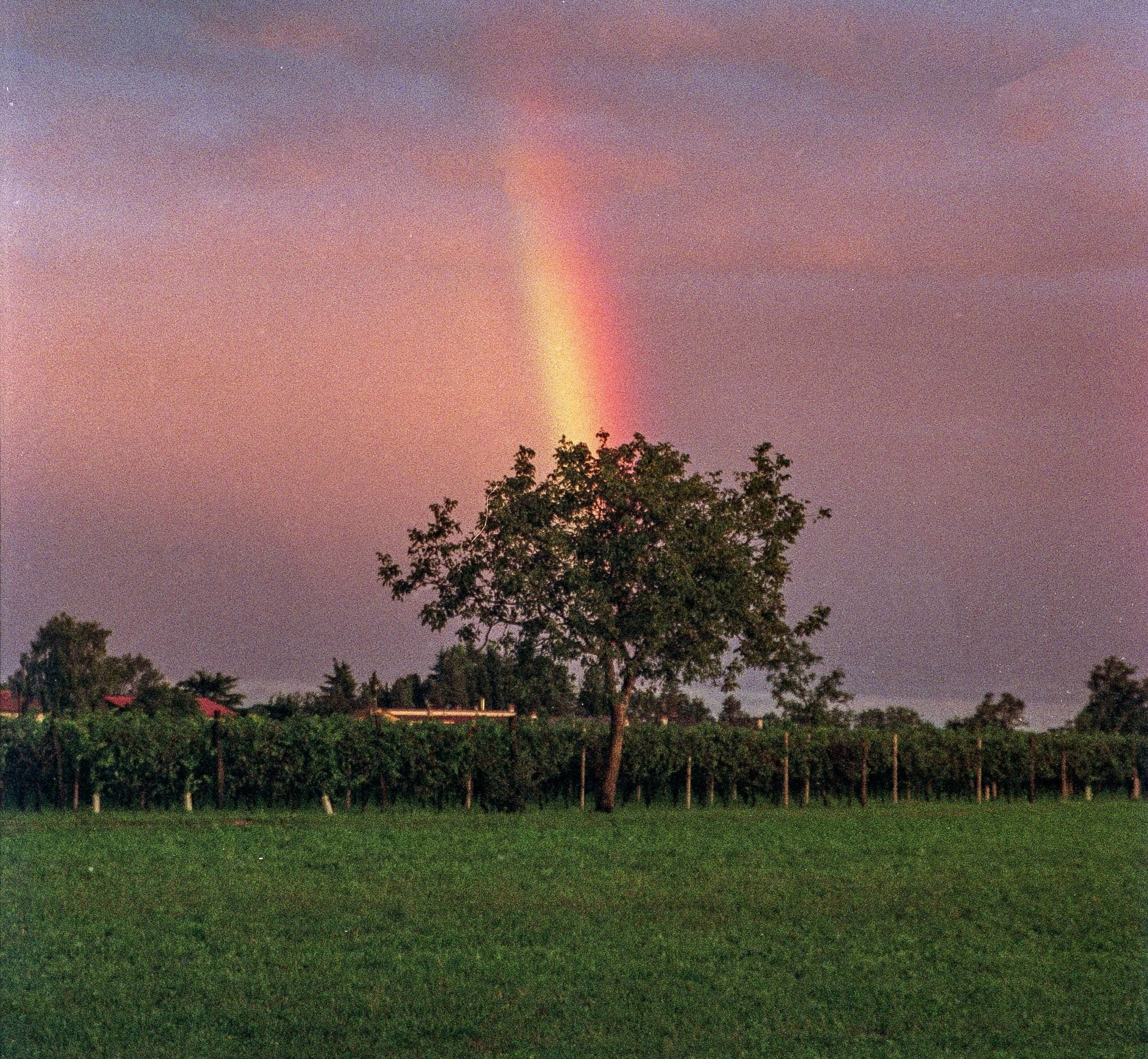  Values too central to abandon